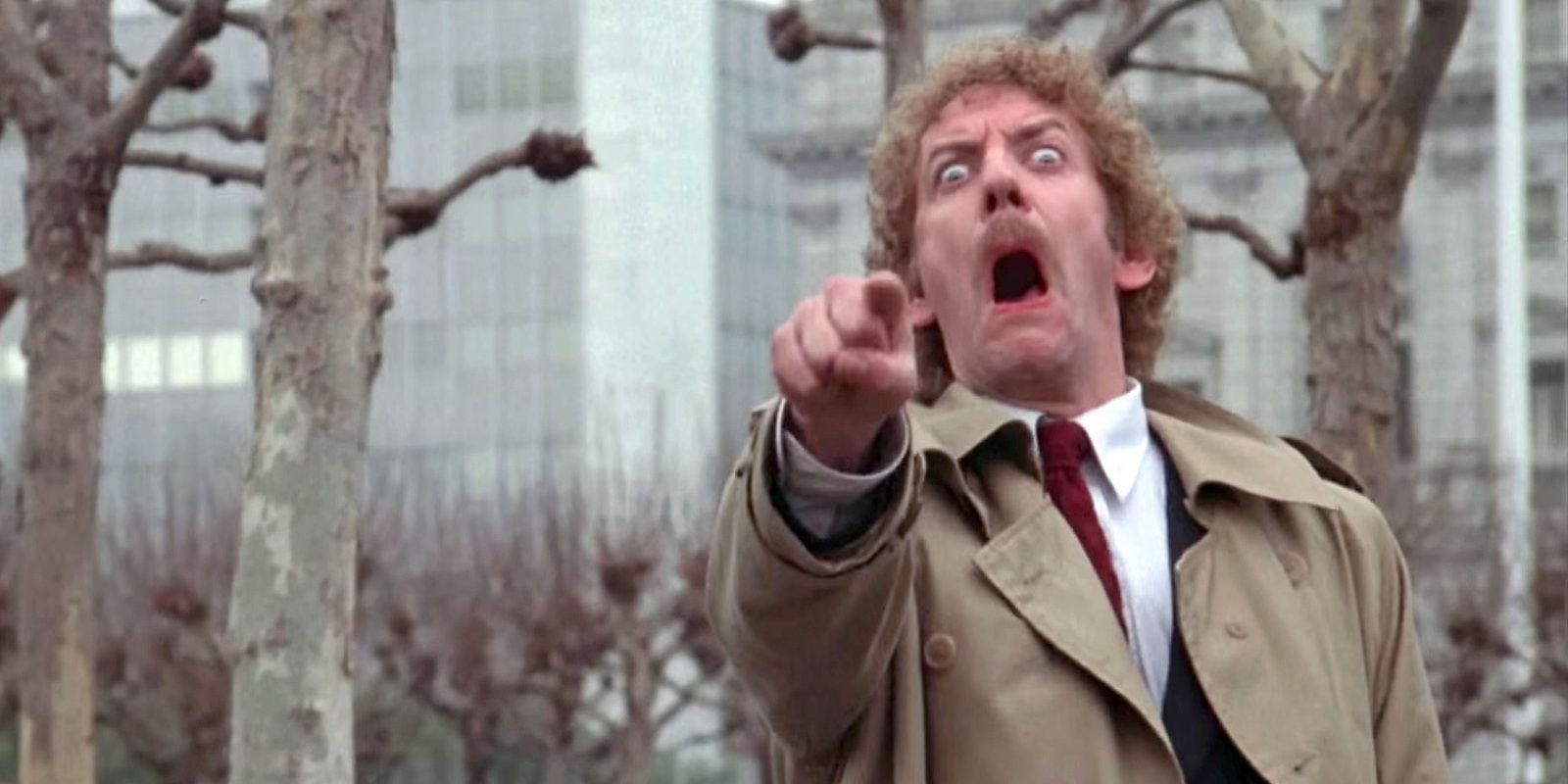 Invasion-Of-The-Body-Snatchers.jpeg