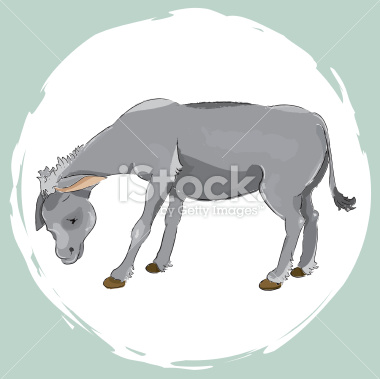 istockphoto_2485808_sad_donkey.jpg