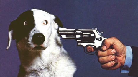 killthisdog.jpg