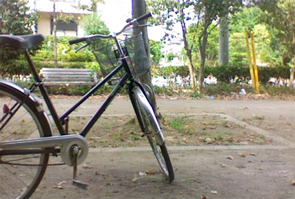 littlePark.jpg