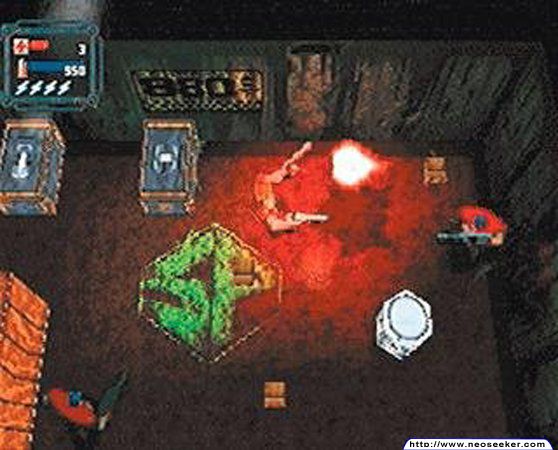 loaded_image5.jpg