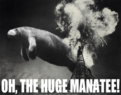 manatee2.jpg