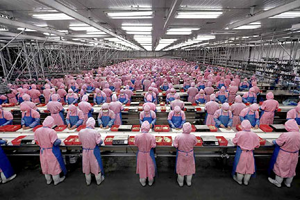 manufacturedlandscapes1.jpg
