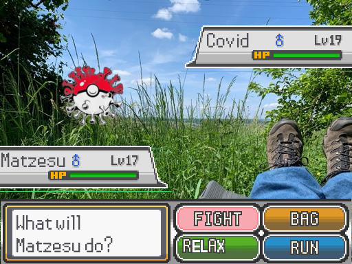 matzpokemon.jpg