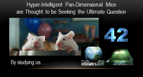 Mice42.jpg