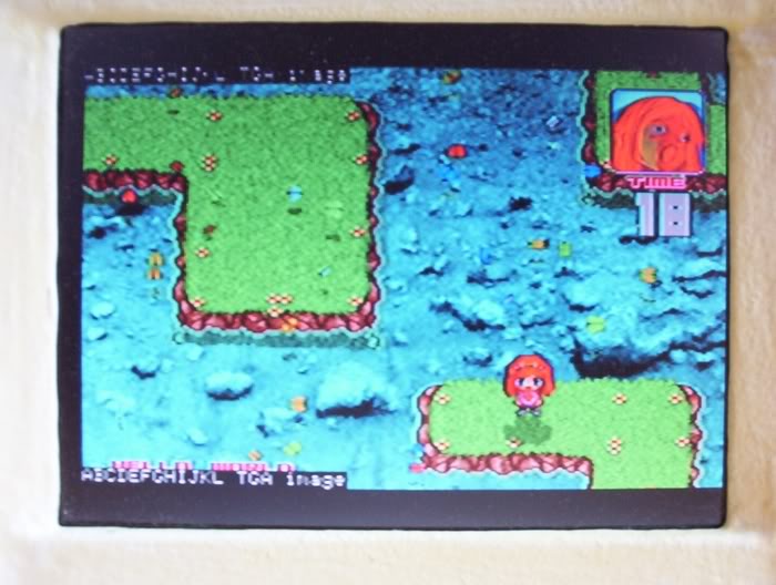 n64008.jpg
