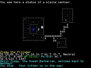 nethack02.png
