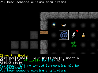 nethack04.png