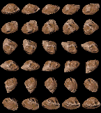 Oid.gif