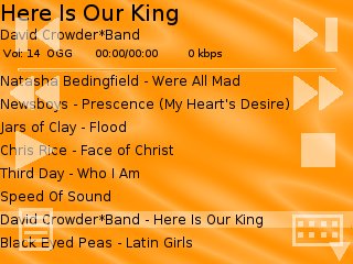 orange_ts_overlay.jpg