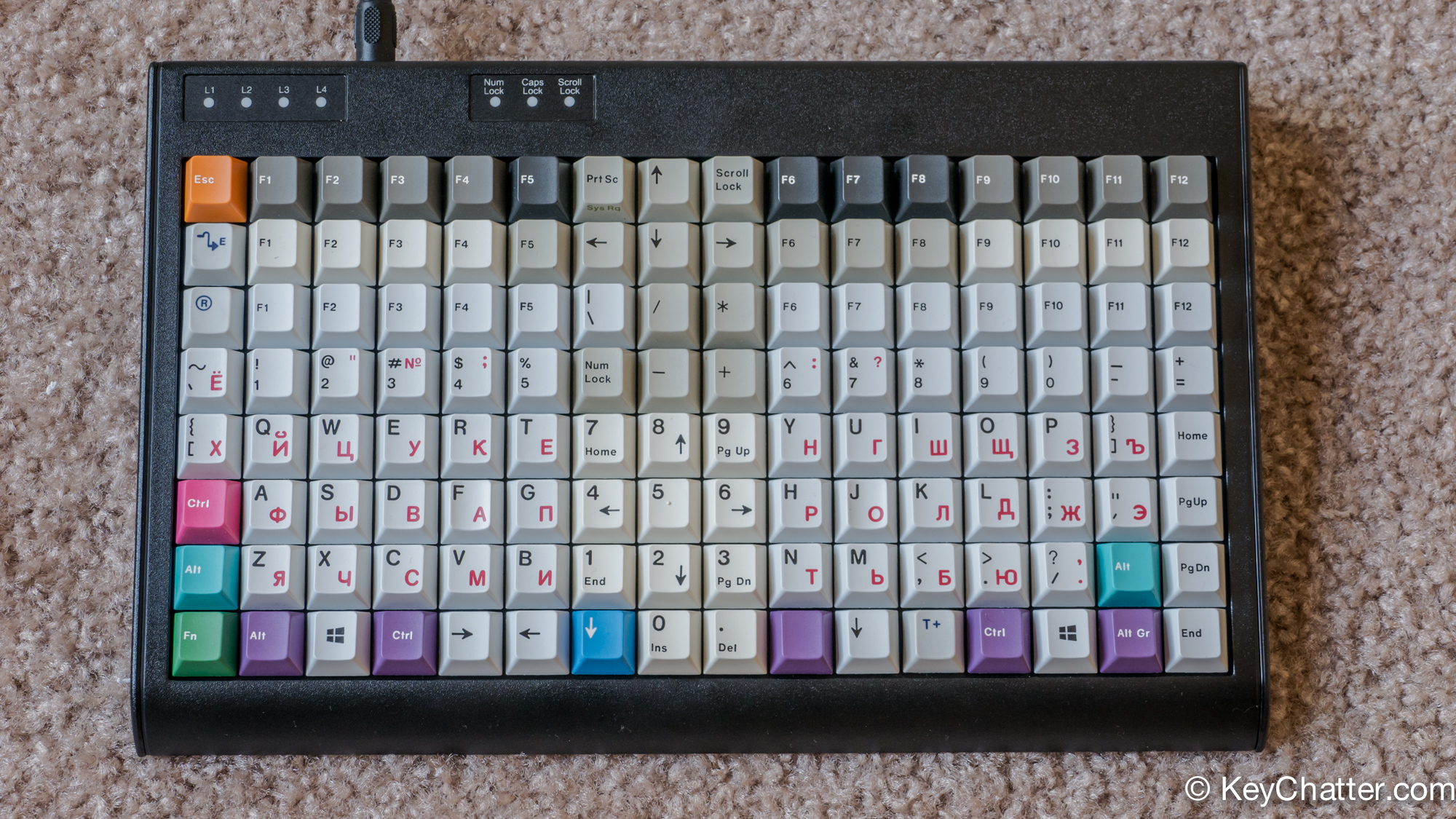 Ortho-big.jpg