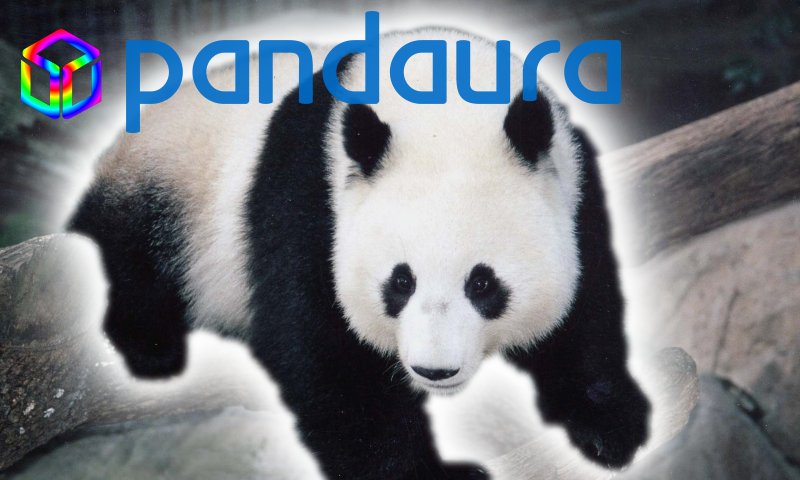 Pandaura.jpg