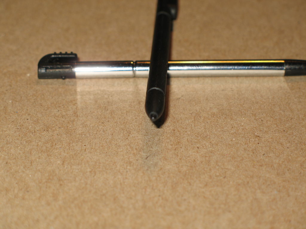 pandorastylus.png