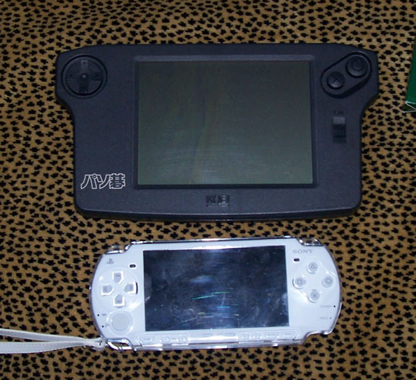 pasogo2.jpg