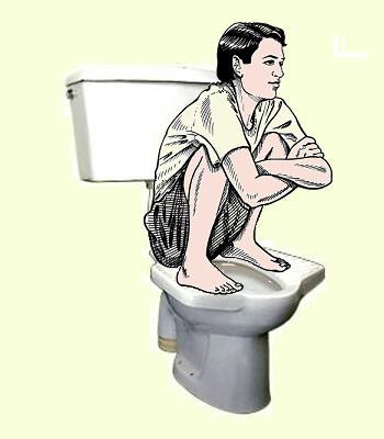 Pedestal-squat-toilet.jpg