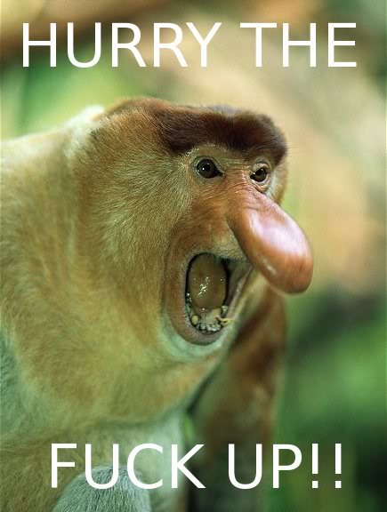 probo_monkey-1.jpg