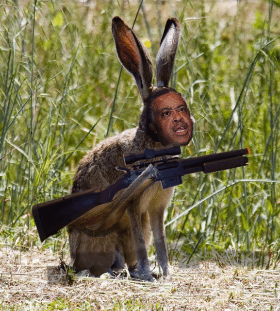 RabbitHunting.gif