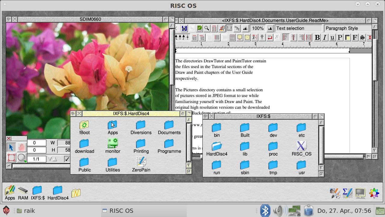 riscos_linux.jpg