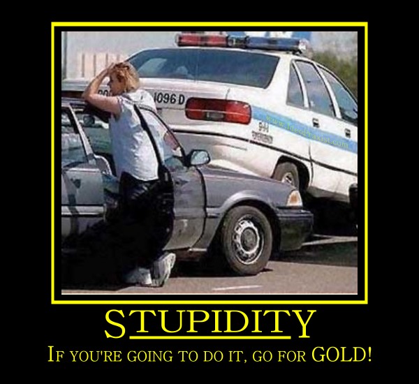 SA-IdeoPraxist-Demotivational_Poster-Stupidity-v1.jpg
