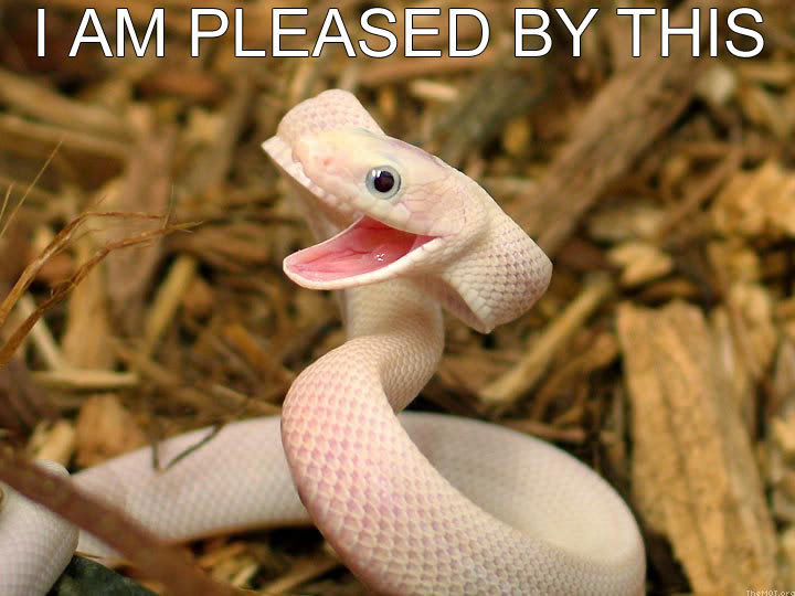 SnakePleased.jpg