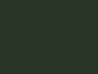 soliddarkgreen.png