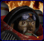 tp-fb.gif