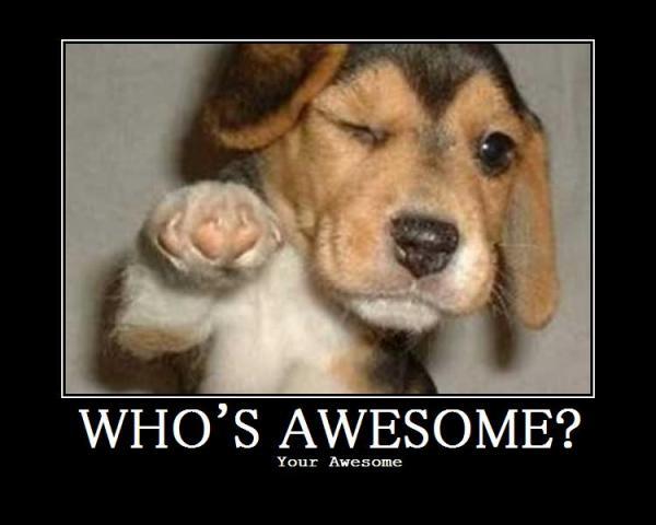 whos-awesome-puppy.jpg