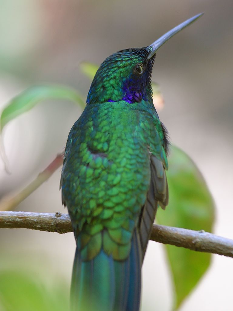 zoo_3_bg_091303.jpg