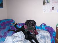 random%20051.jpg