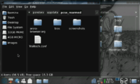 screen110405-062110.png