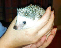 2011-10-19 19.jpg