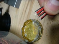 dsc03976.jpg