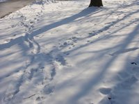 dsc03990.jpg