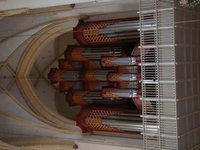 dsc04020.jpg