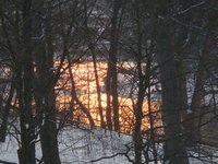dsc04043.jpg