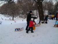 dsc04044.jpg