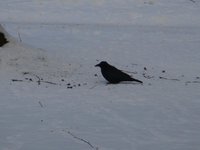 dsc04047.jpg