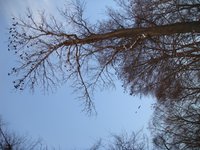 dsc04048.jpg