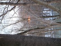 dsc04052.jpg