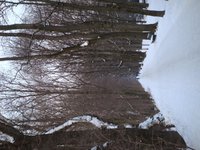 dsc04053.jpg