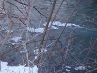 dsc04059.jpg