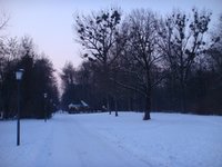 dsc04062.jpg