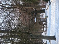 dsc04099.jpg
