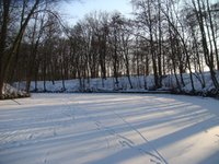 dsc04106.jpg