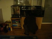 dsc04114.jpg