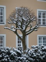 dsc04141.jpg