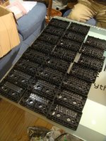 dsc04181.jpg