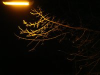 dsc04191.jpg