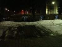 dsc04203.jpg