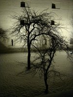 dsc04206.jpg